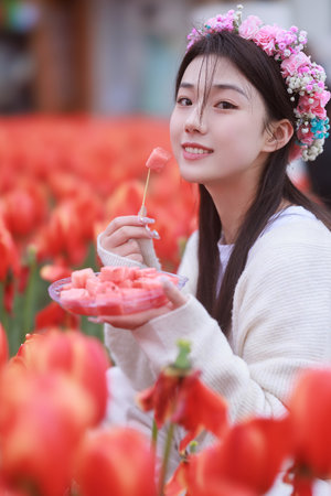 倚天屠龙记苏有朋版